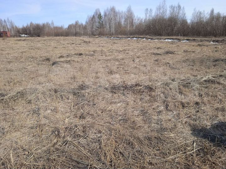 Участок 10 сот. (СНТ, ДНП)