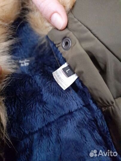 Одежда для собак