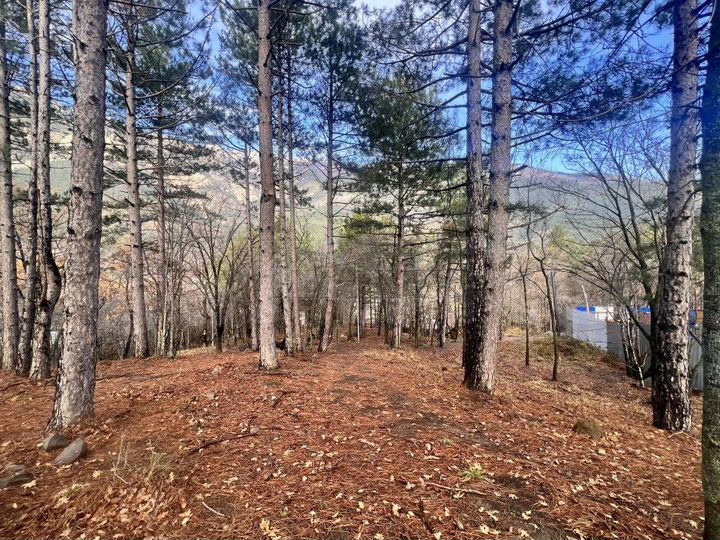 Участок 6 сот. (ИЖС)