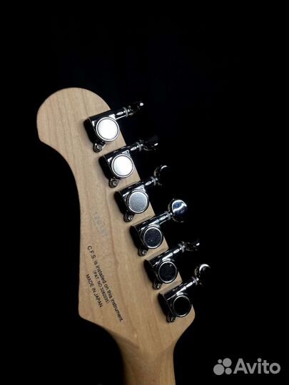 Fujigen Stratocaster (Japan)