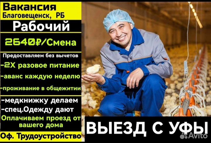 Упаковка фасовка
