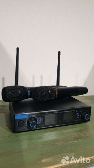Радиосистема с 2 микрофонами SE-200D