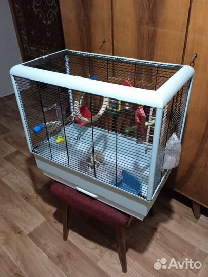 Клетка для попугая с игрушками