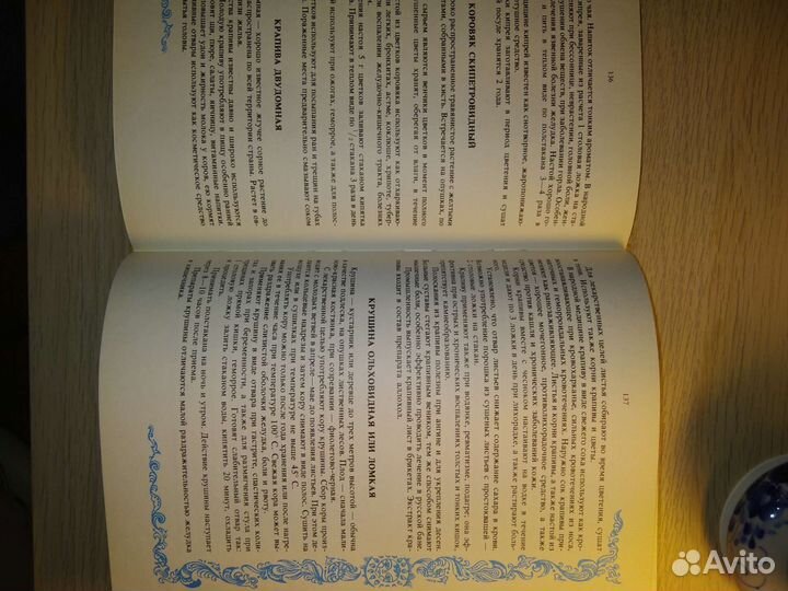 Книга Русский дом в 2-х томах