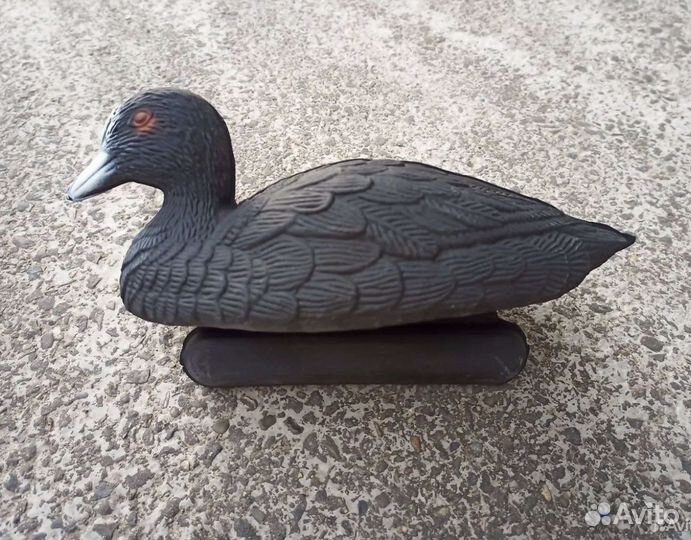 Чучело лысухи