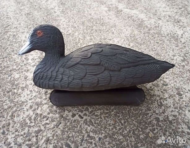 Чучело лысухи