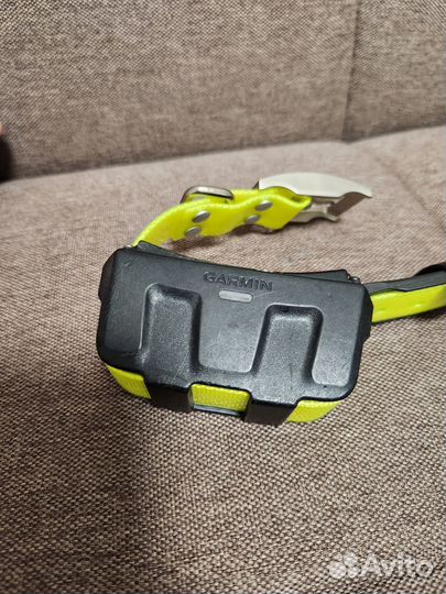 Ошейник Garmin DC50 Америка с лаем