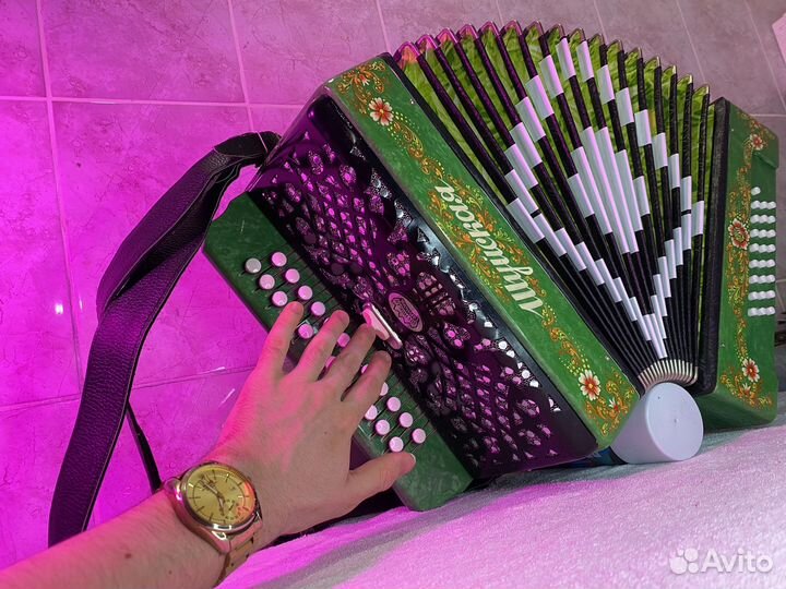 Гармонь Шуйская с заказной росписью и Регистр