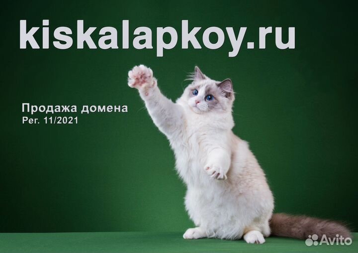 Продажа домена kiskalapkoy.ru