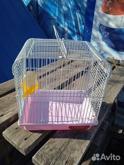 Клетка для грызунов бу