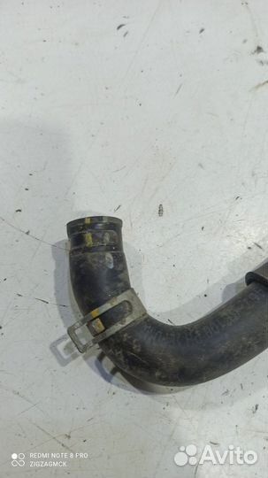 Патрубок системы охлаждения (Kia K900 II)