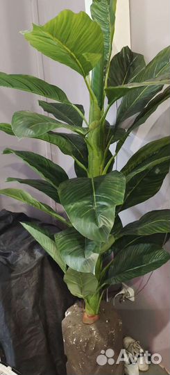 Искусственное дерево пальма