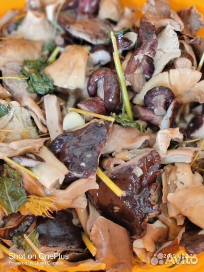 Грибы маринованные и солёные