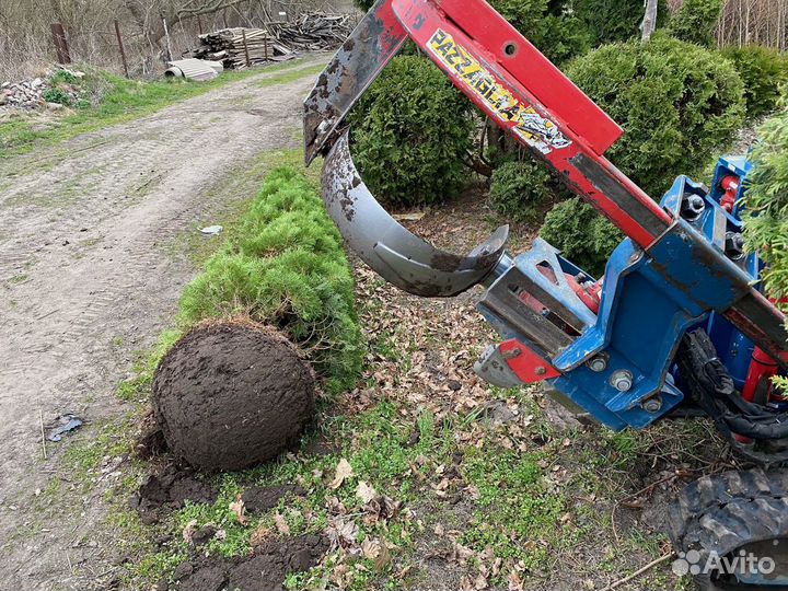 Пересадчик деревьев Pazzaglia FZ110, 2013
