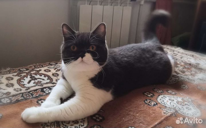 В Добрые ручки