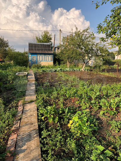 Дача 19 м² на участке 6 сот.