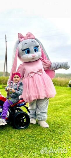 Экспресс поздравление