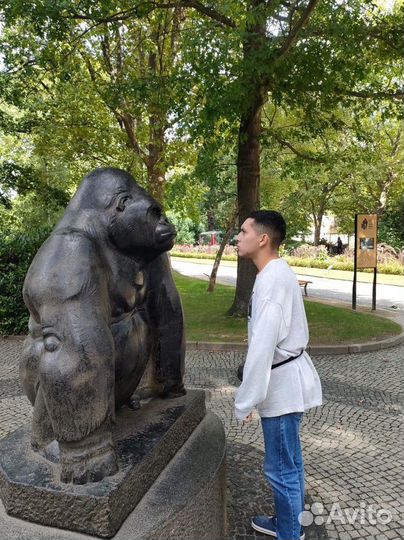 Репетитор по испанскому языку (родной язык)