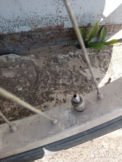 Велосипедное колесо, Аист, Кама