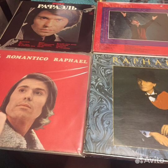 Deep Purpl Sting David Bowie Kim Wild