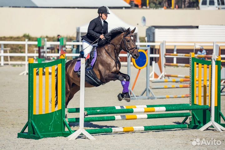 Конные прогулки, Прокат лошади. Пони в тележке
