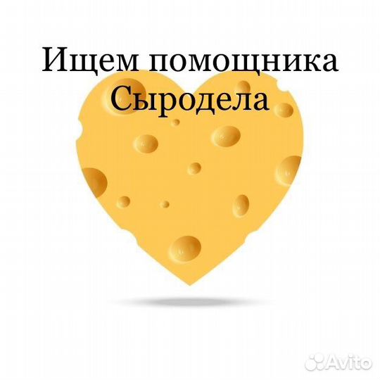 Ассистент сыродела