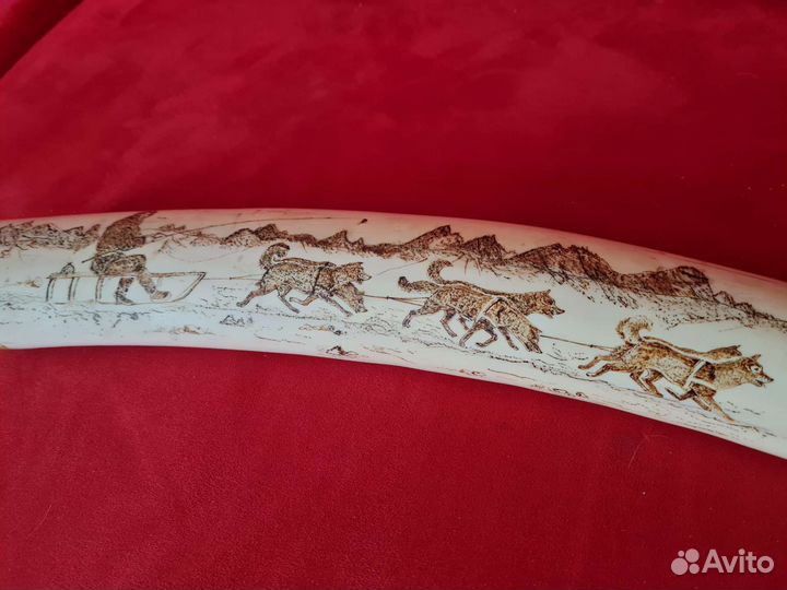 Клык моржа, имитация. 74см, 2кг