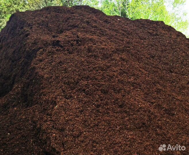 Торф низинный