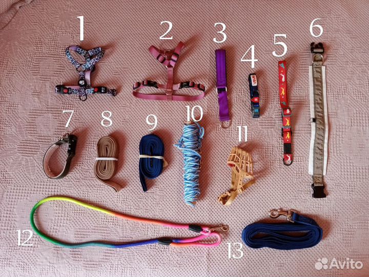 Амуниция для собак