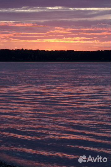 Объектив Minolta 100 macro