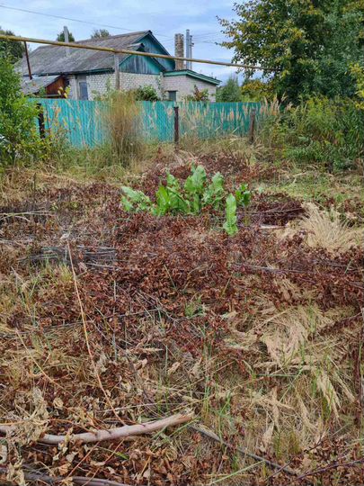 Участок 5 сот. (ИЖС)