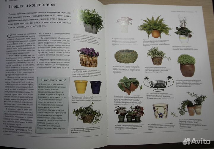 Комнатные растения. Энциклопедия