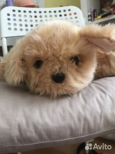 Интерактивная собака