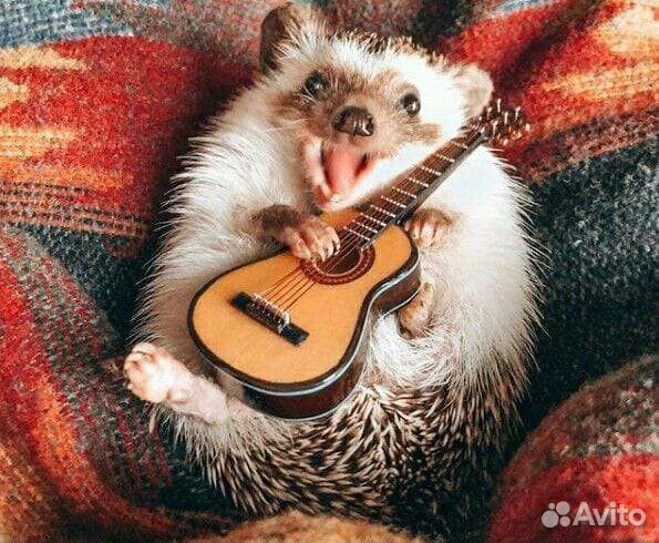 Замена струн.Ремонт гитар