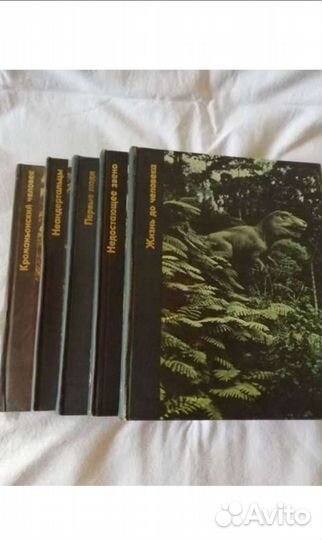 Возникновение человека