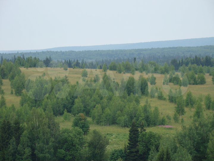 Участок 2 га (СНТ, ДНП)