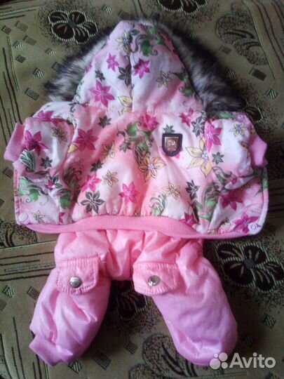 Одежда для собак