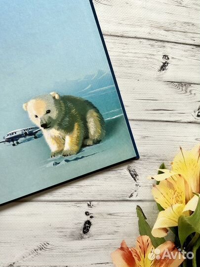 Фомка - белый медвежонок