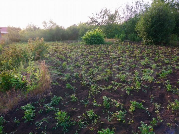 Участок 6 сот. (СНТ, ДНП)