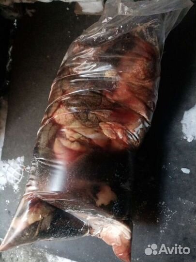 Рубец говяжий