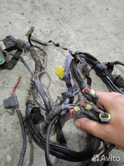 Баллон гбо под запаску + проводка с мозгами