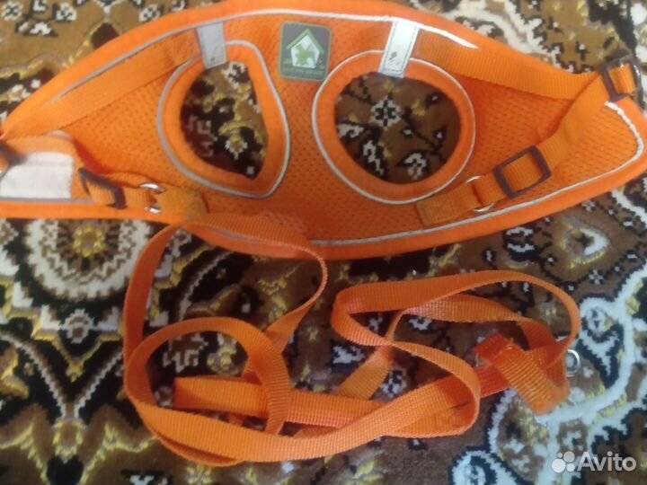 Шлейка для щенка или маленькой собаки