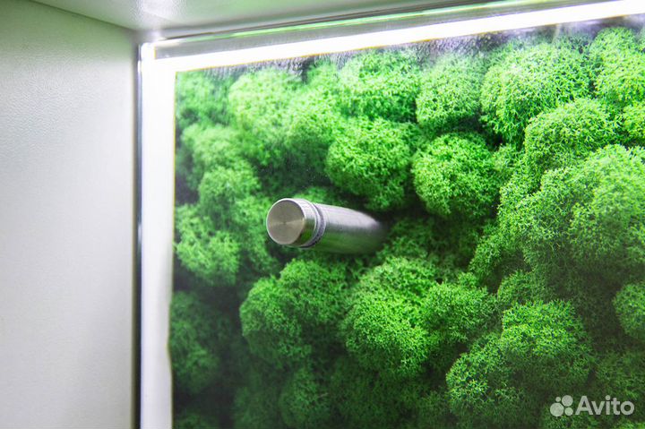 Мох стабилизированный - Фартук из стекла