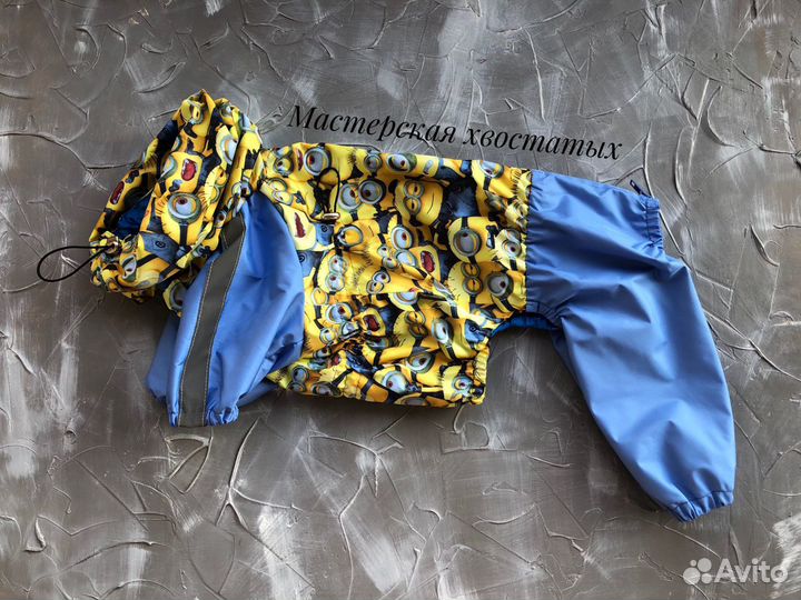 Пошив одежды для собак