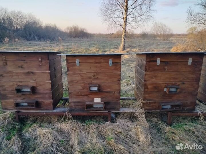 Улей для пчел бу