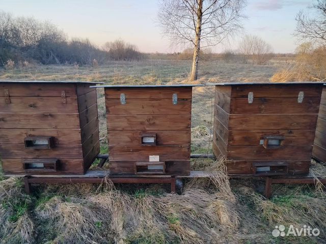 Улей для пчел бу