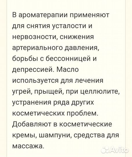 Пеларгония герань лимонная или душистая