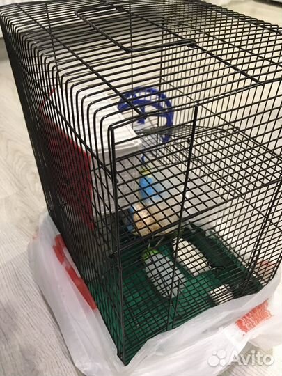 Шар для хомяка