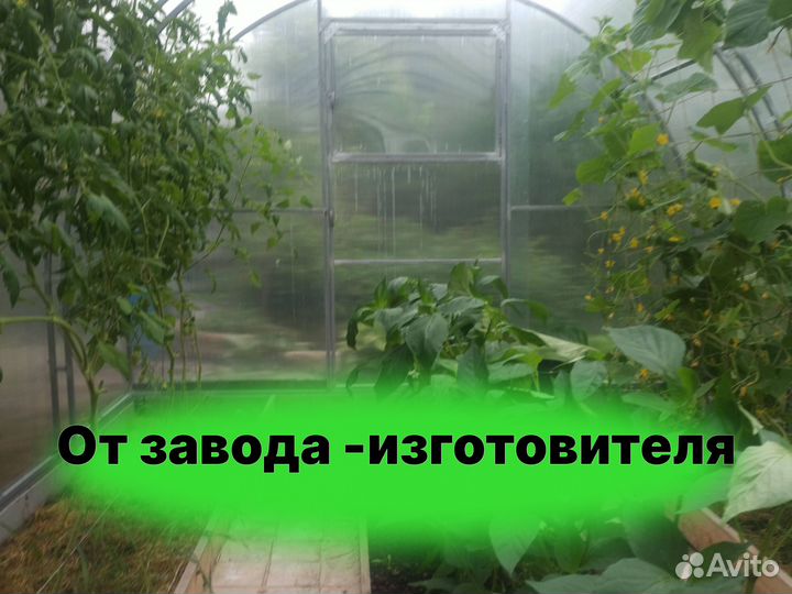 Теплица