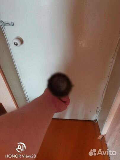 Шомпол оружейный Б/У